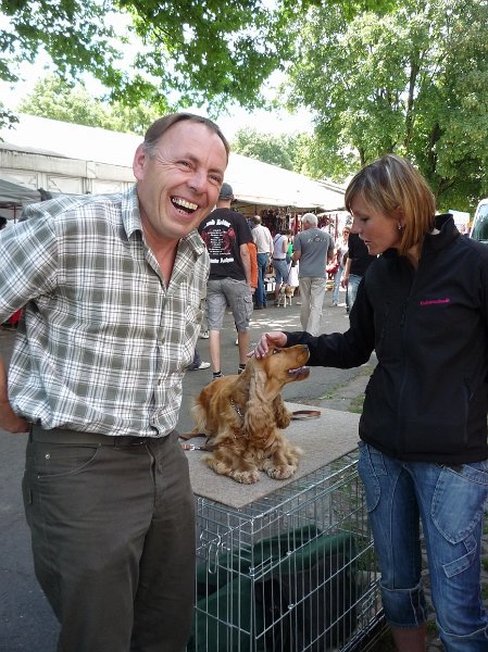 Litomerice 2009 069.jpg